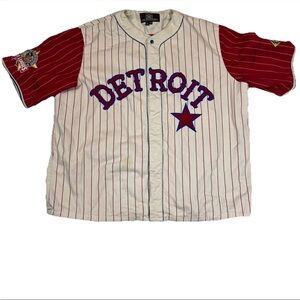 Detroit Stars Negro Leagues Baseball Jersey JH Design Signed Pinstripe 5XL
